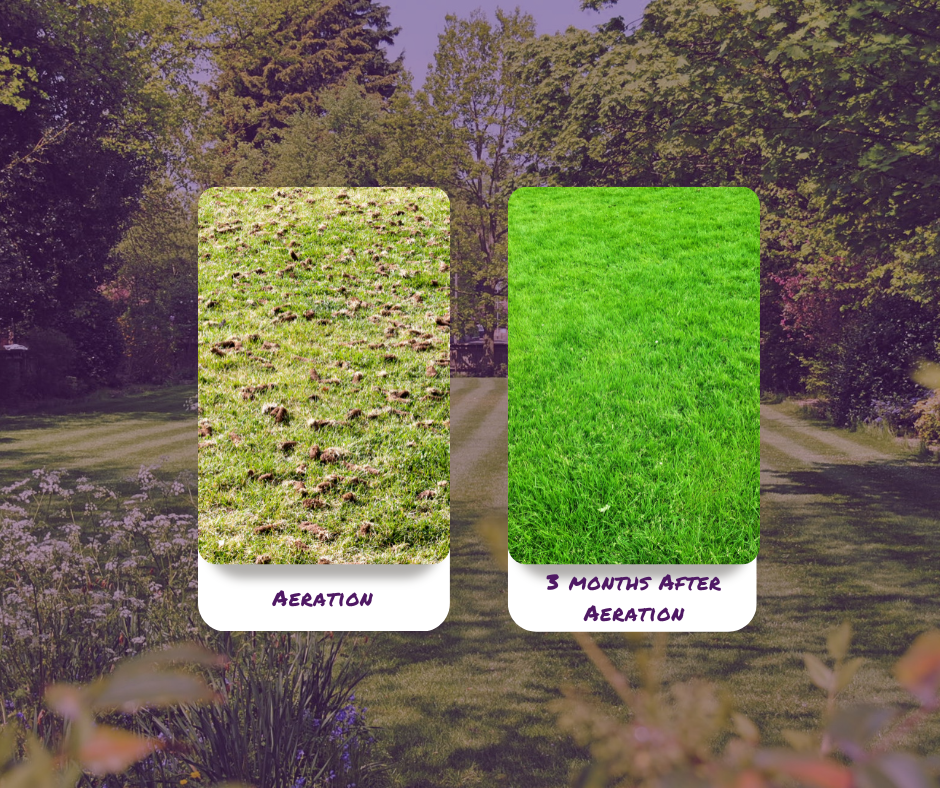 What Does Aerating Your Lawn Do?