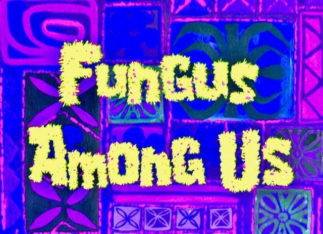 Fungus Among Us!