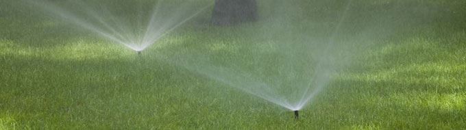 10 Things Everyone Should Know About Their Sprinklers