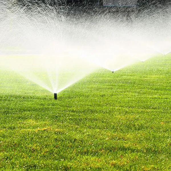 Tips for Summer Landscape Watering in Texas