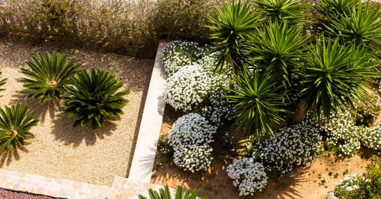 6 Landscape Ideas to Inspire You
