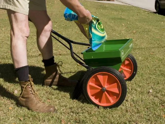 What If I Don't Fertilize My Lawn?
