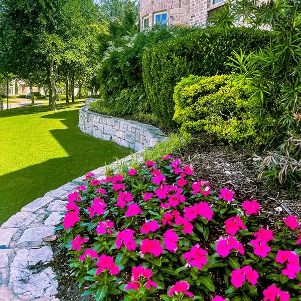 5 Reasons to Mulch Your Property