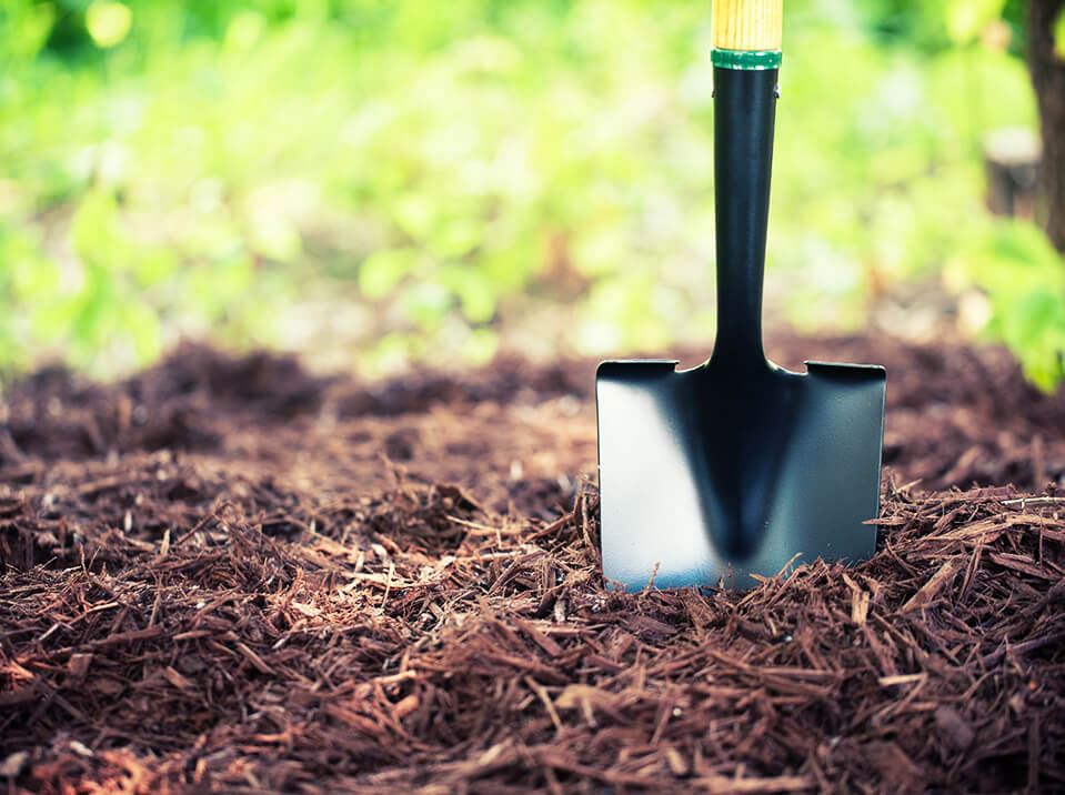 How to Properly Use Mulch in Your Yard