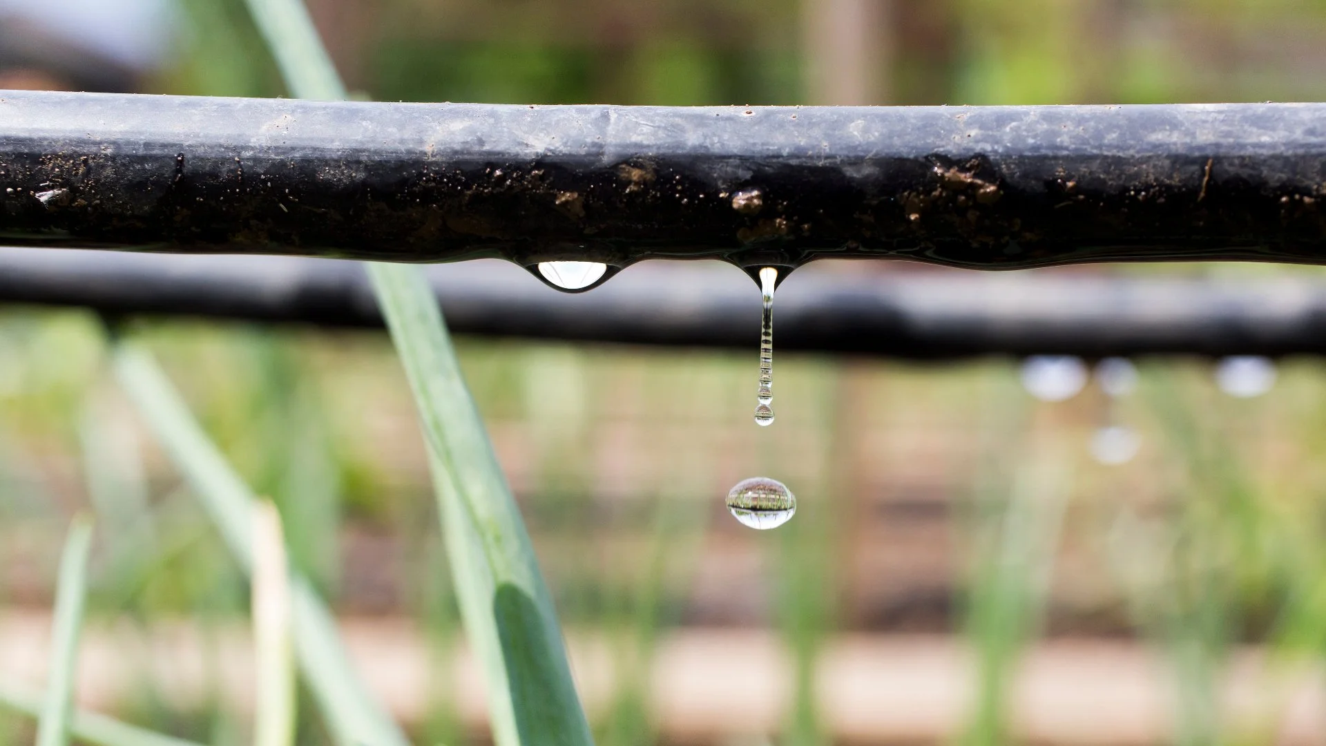 Should I Install a Drip Irrigation System on My Property?