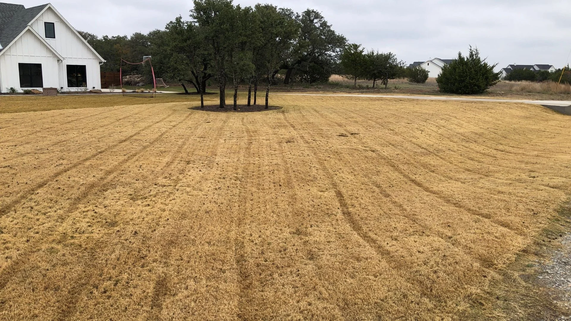 Here's Everything You Need To Know About Aeration for Your Lawn in Texas!