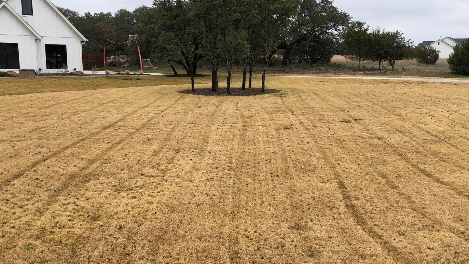 If Your Yard Has Zoysia Grass, Aerating Every Year Is a Must!