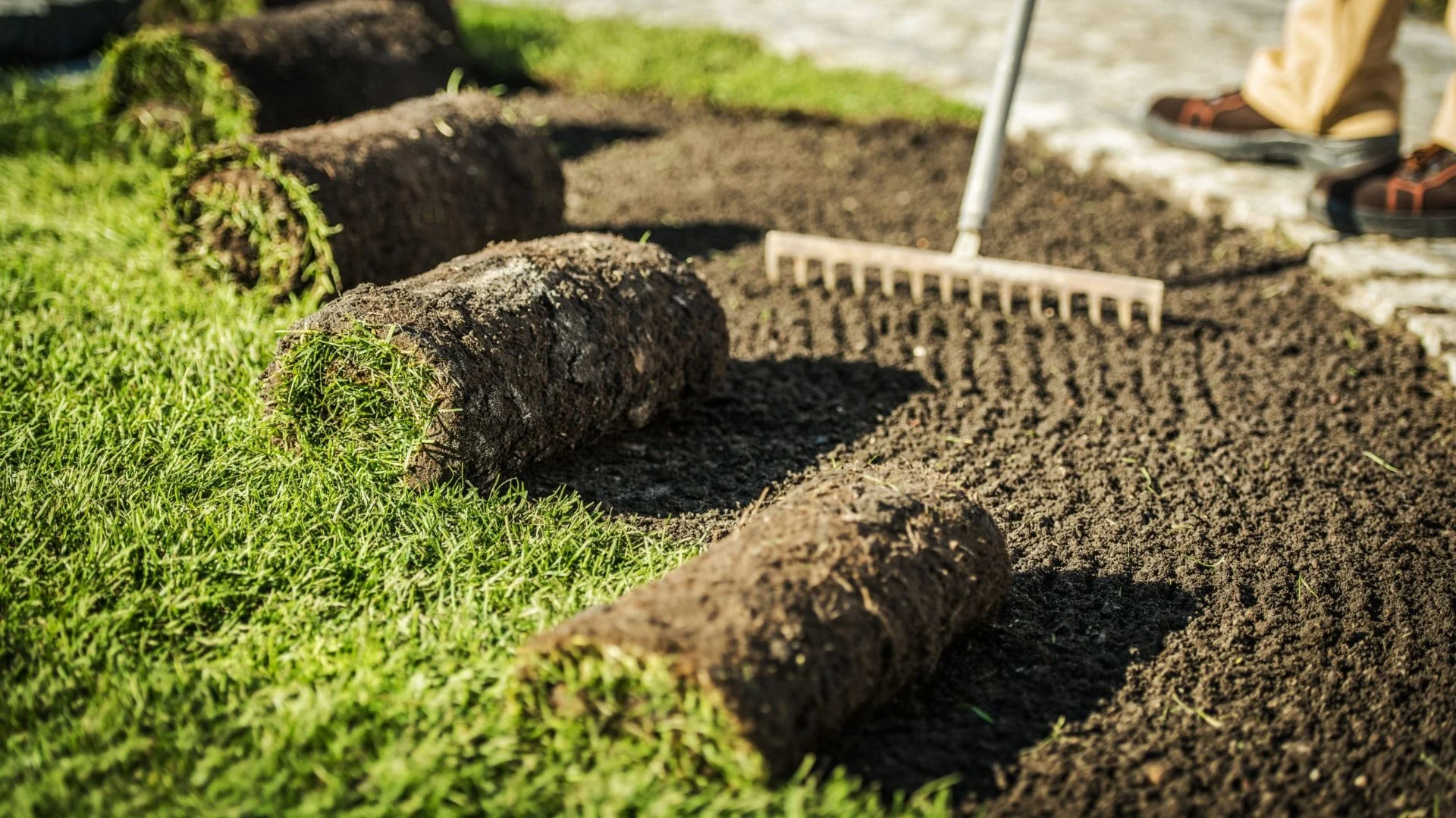 Ensure the Success of Your New Sod With These Tips