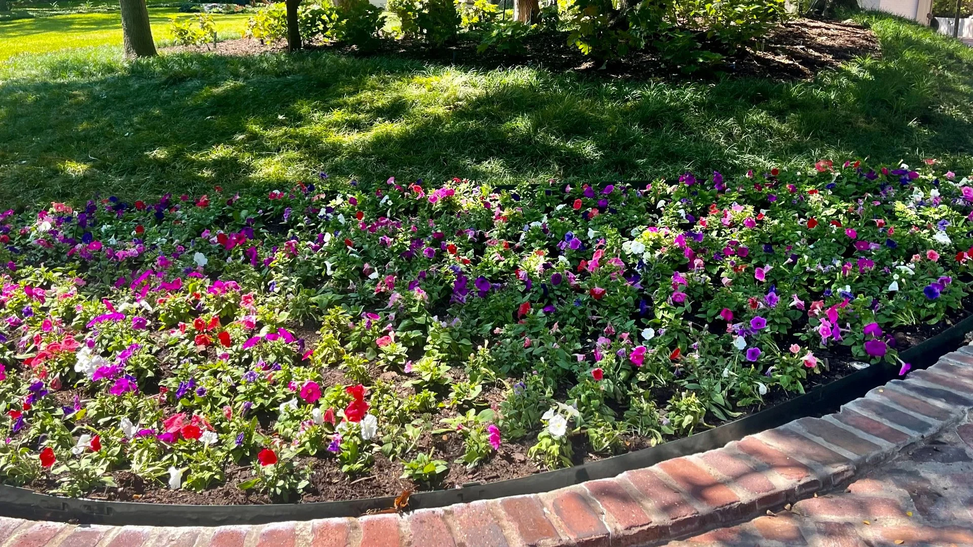 What Annual Flowers Are Ideal for Planting in the Spring in Texas?