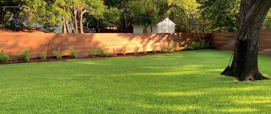 Healthy, green lawn in White Settlement, TX.
